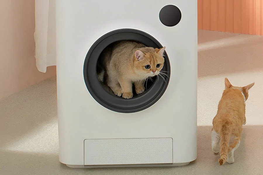 auto clean litter box