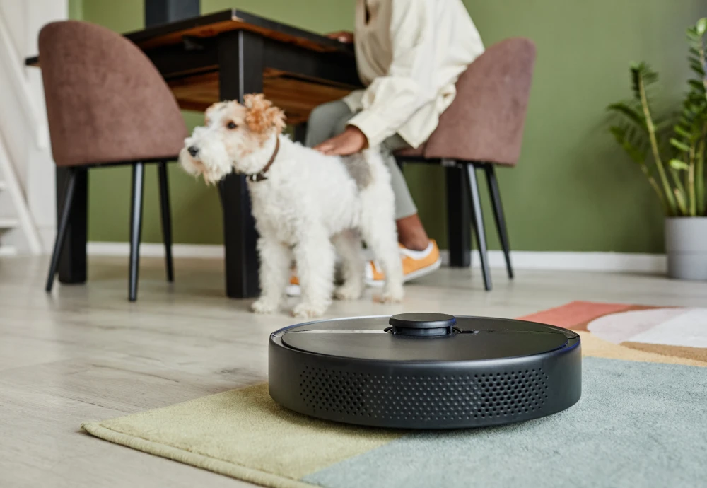 best robotic vacuum cleaner for the money